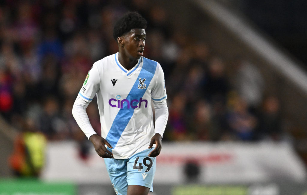 Plymouth Argyle v Crystal Palace - Carabao Cup Second Round