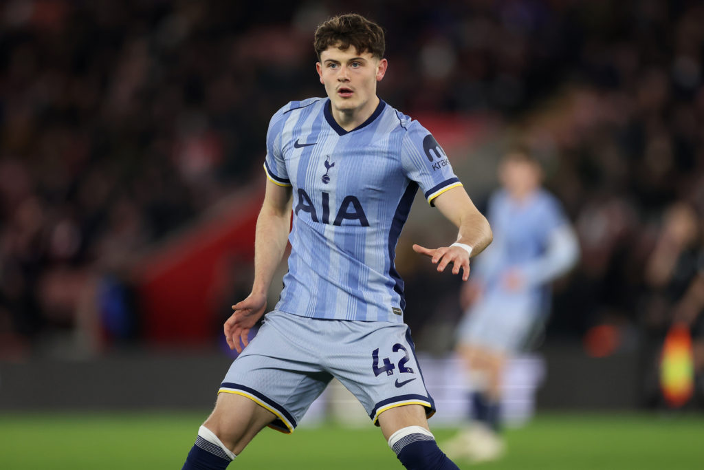 Southampton FC v Tottenham Hotspur FC - Premier League