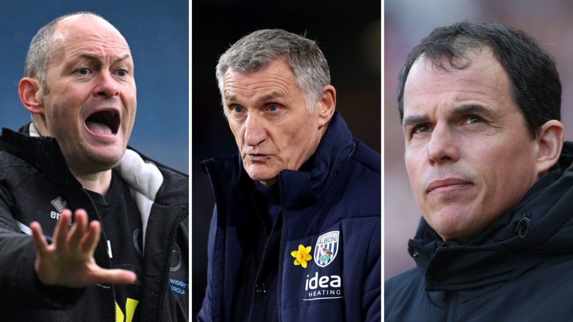 Three piece split image of Alex Neil, Tony Mowbray and Regis Le Bris (L to R).